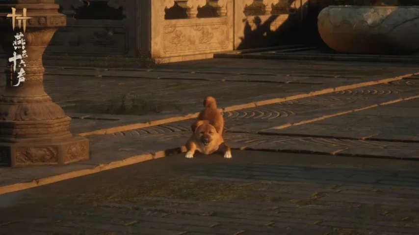 国家体育总,局直属国家,体育基金管,QY球友会,QiuYou,Sports,QY球友会官网,QY球友会体育官网,QY球友会体育下载,QY球友会APP