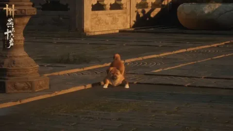 国家体育总局直属国家体育基金管理中心